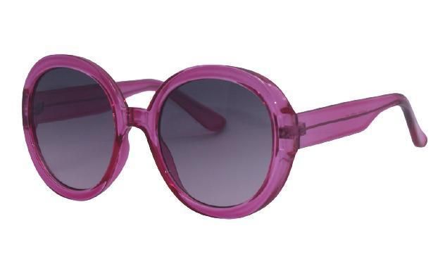 Women′s Plastic Large Chunky Rounded Vintage Inspired Frame Sunglasses