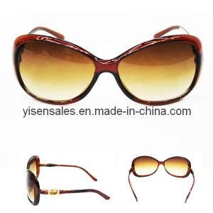 Beach Sunglasses