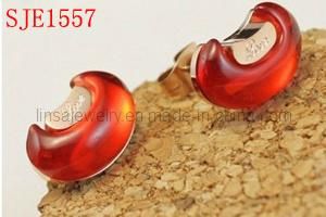 Women&prime;s Charm Style 316L Stainless Steel Earring Jewelry (SJE1567-1)