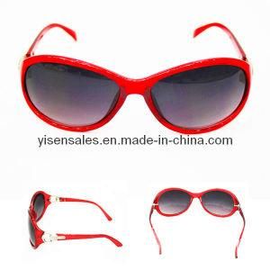 Bulk Women Sunglasses