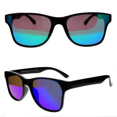 Classic PC Sunglasses for Adult