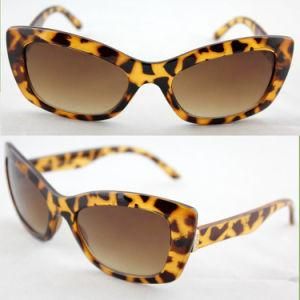 Lady Fashionable Plastic Sunglasses with CE/FDA/BSCI (14204)