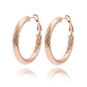 Fashion Twisted Hoop Gold-Plated Stainless Steel Earrings Women