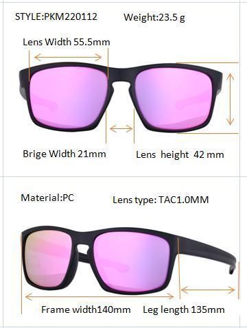 Italy Fashion Classical Hot Sale Unisex High Quality Custom Ray Band PC Polarized Designer Sunglasses