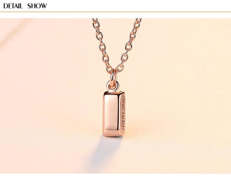 OEM Custom Fashion 925 Silver Jewelry Necklace with Super Charm