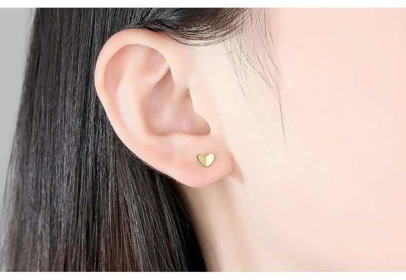 Fashion Jewelry Silver Earrings Ear Studs for Women