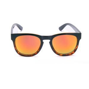 High Quality Polarized Sunglasses with Tac for Drving Cycling Man or Woman Model Jdshx8283-C3
