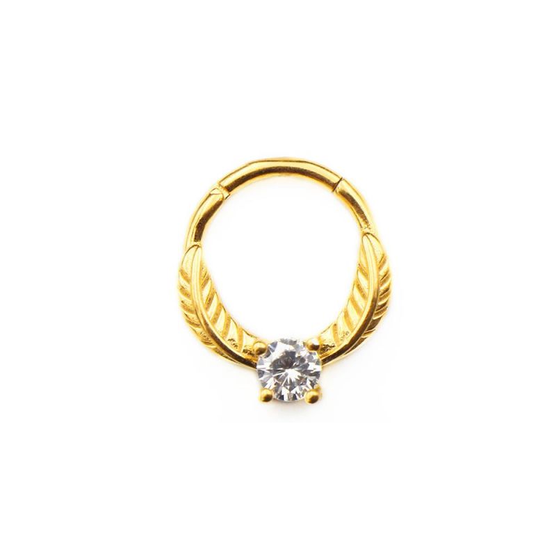 316L Surgical Stainless Steel Body Piercing Jewelry Segment Nose Ring Piercing Double Wings (SH210)