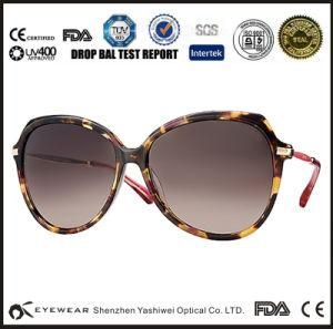 Big Sizes Acetate Frames with Metal Temple Sunglasses