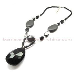 Fashion Jewelry Necklace (BHT-9239)