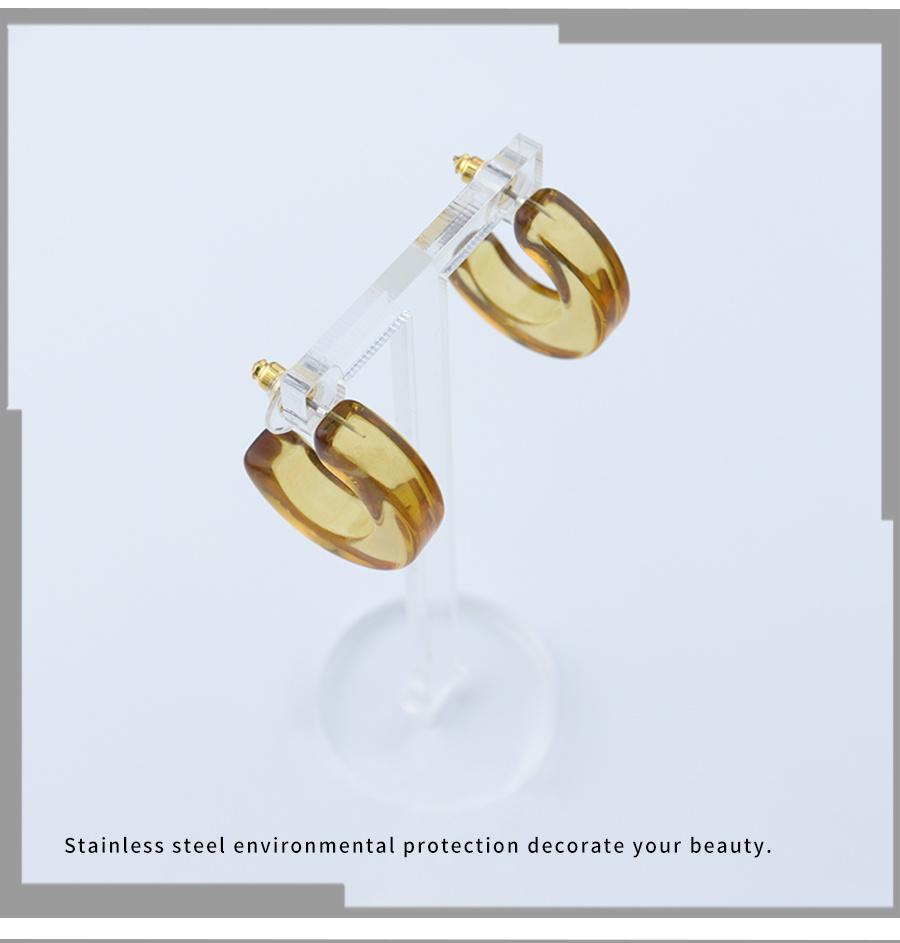 O-Shaped Women′s Light Transparent Earrings