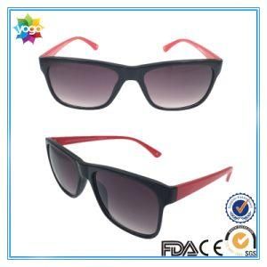 Fashion Design Sunglasses Cat Eye Shape Women Fashion Sunglass