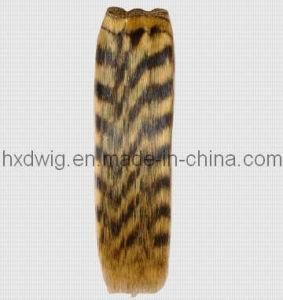 Streaks Color Hair Extension (HXD-050)