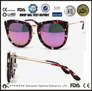 Acetate and Metal Polarized Sunglasses Driving