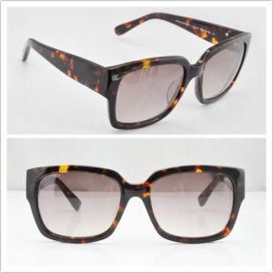 Lady`S Eyewear Fashion Sunglasses Shade Eyewear