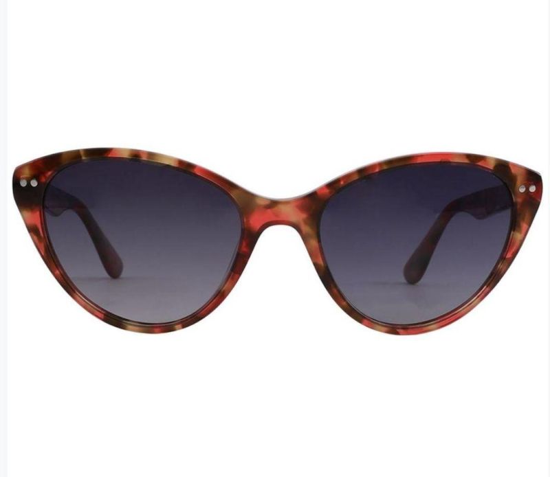 2022 Shen Zhen Top Quality Fashion Eyewear Multi Color Ladies Cat Eye Frames Eyeglasses