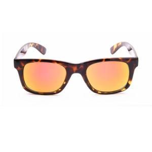 China Wholesale Polarized Sunglasses with Leopard Color Fair Price Polycarbonate PC Frame Jdshx8082-C3