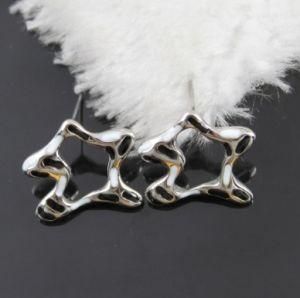 S. Steel Earrings, S. Steel Jewelry, Fashion Jewelry (E2311)