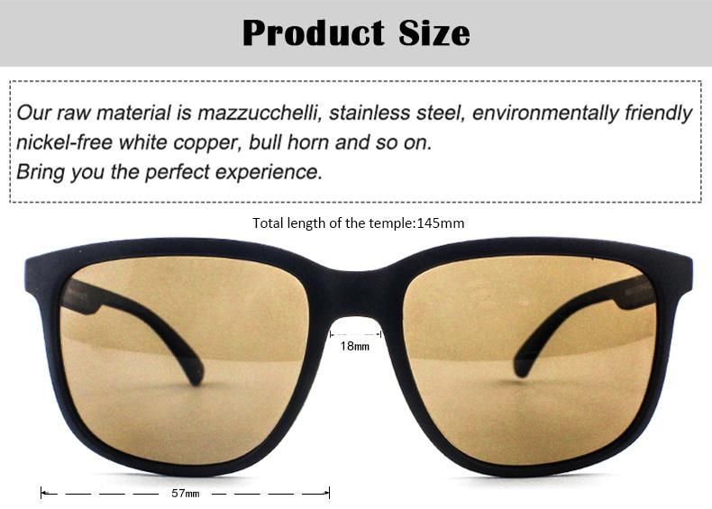 P0080 New Design Tr Frame Wholesale Polarized Men Sunglasses