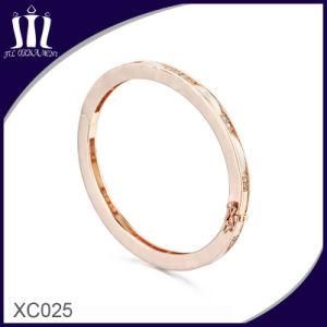 Fashion Jewelry Design Bracelet Bangle