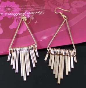 Fashion Stainless Steel Earring (E5023)