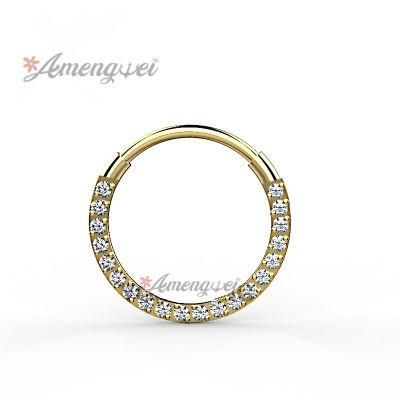 2020 Latest 316L Surgical Stainless Steel Jewelry Body Piercing Jewelry Hinged Segment Ring