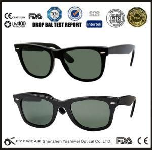 Top OEM Custom Design Brand Name Sun Glasses