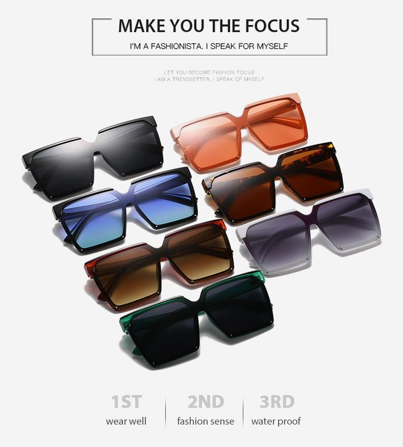 Hot Selling Sun Glasses