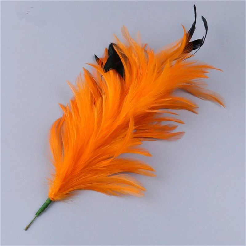 Luxury Black Red Feather Animal Brooches