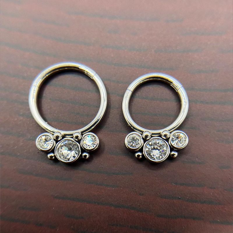 New Style 316L Surgical Steel Hinged Nose Ring/Segment Clicker/Body Jewelry Piercing