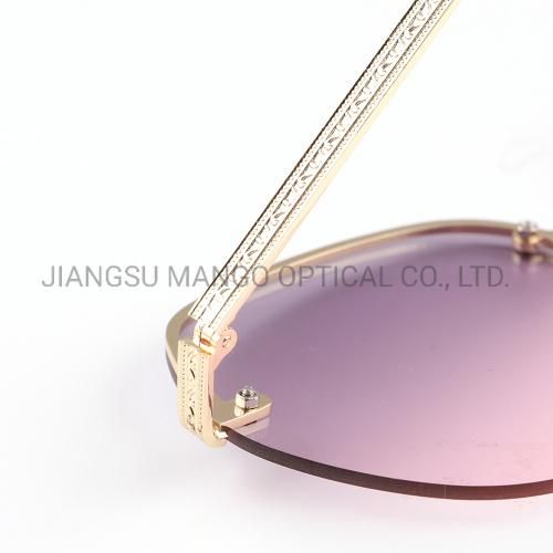 Palm Beach Curve Shape Golden Temples Sunglasses