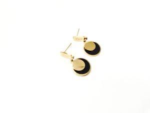 Stainless Steel Fashion Earring in 18K Gold