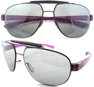 Fashion Sunglasses