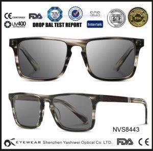 2015polaroid Sun Glasses, New Designer Tr90 Sun Glasses
