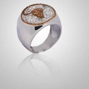 Fashion Stainless Steel Ring (RZ6050)