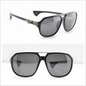 Fashion Sunglasses /Classic Sunglasses /Branded Sunglasses