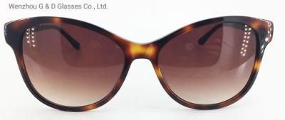 Great Quality Model China Factory Wholesale Acetate Frame Sunglasses