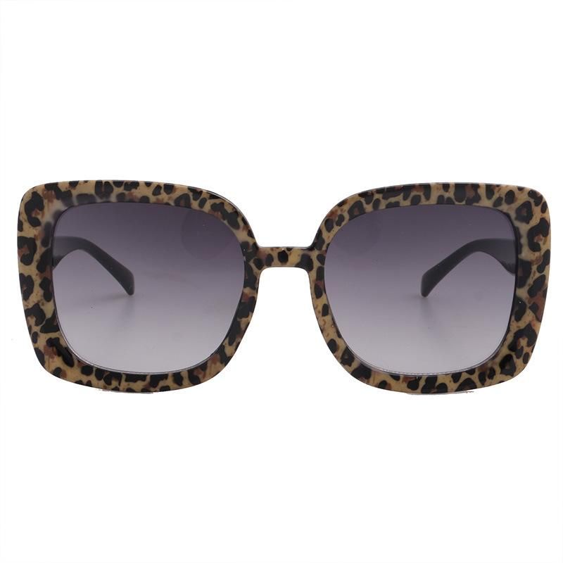 2020 Tortoise Paper Transfer Graduated Smoke Fashion Sunglasses