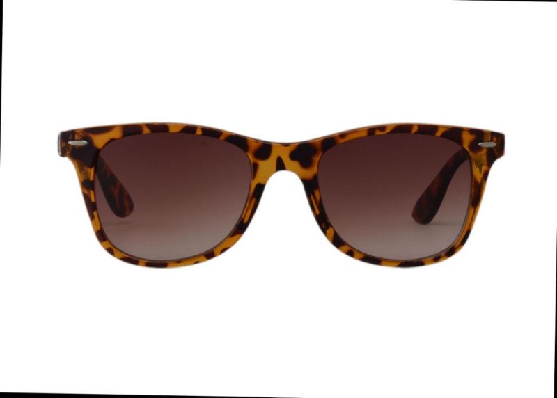 Classic Tortoiseshell Frame Fashion PC Injection Sunglasses