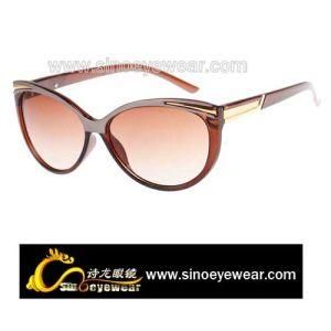 Fashion Sunglasses (SF11102)