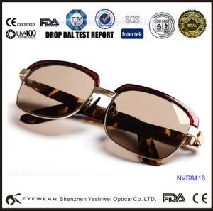 China Fashion Sunglass, Brand Sunglass, Sunglass