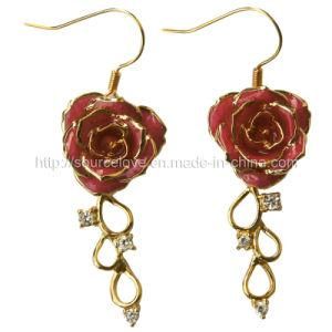 Attractive Earrings (EH030)