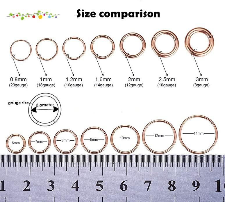 Factory Wholesale Hand-Polished 316L Surgical Stainless Steel Jewelry Body Piercing Hinged Segment Ring -18g