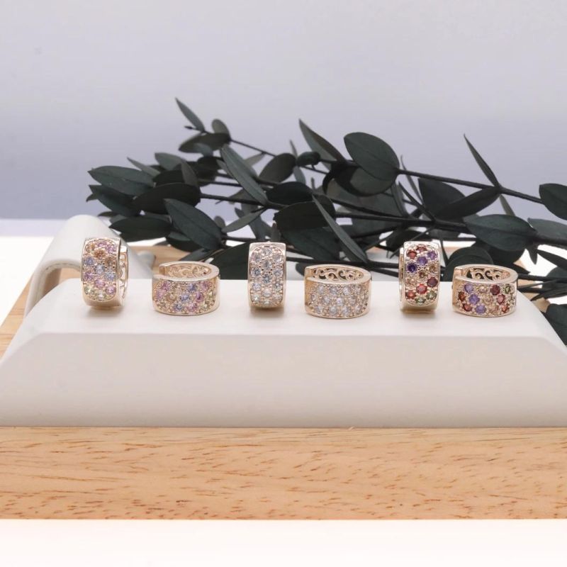 Wholesale Fashion Zircon Women′ S Premium Jewelry Earrings