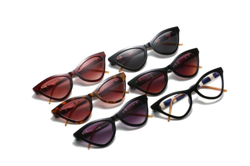 2020 No MOQ Tr90 Cateye Vintage Fashion Sunglasses