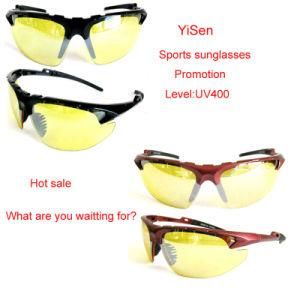 Fashion Sunglasses