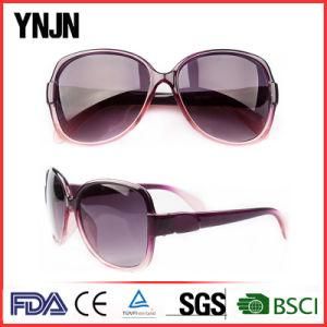 Promotion Plastic Sun Shades Eyewear Sunglasses for Women (YJ-S057)