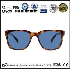 2015 New Fashion Stock Sunglasses