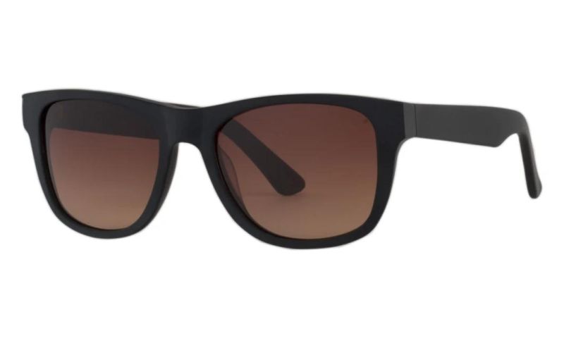 Market Hot Sell Plastic Sunglasses