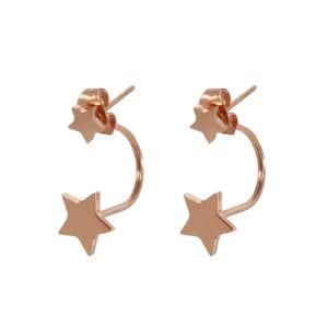 Hook Star Gold-Plated Stainless Steel Earrings Stud